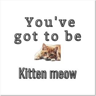 You've got to be kitten meow Posters and Art